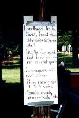lurzhounds.jpg (36034 bytes)